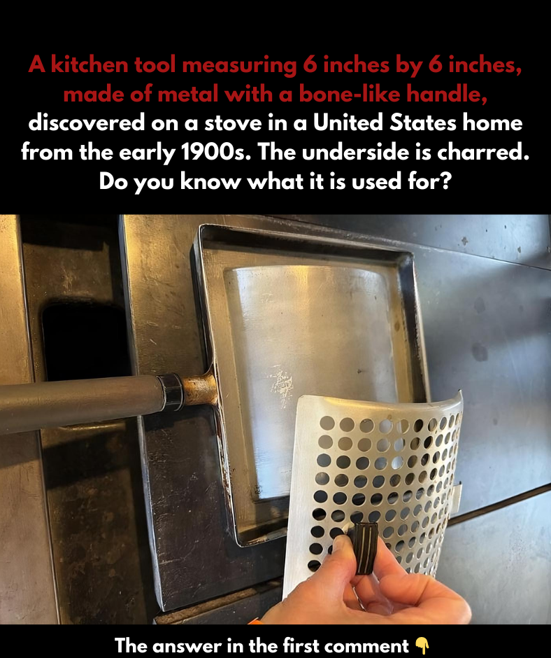 A 6-inch square kitchen implement, made from metal with a possibly bone handle, was located on a stove in an early 1900s American home. A 6-inch square kitchen implement, made from metal with a possibly bone handle, was located on a stove in an early 1900s American home.