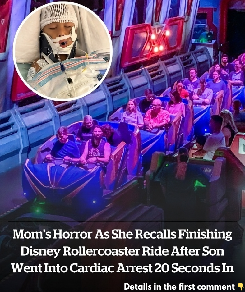 Mom’s horror as she recalls finishing Disney rollercoaster ride after son went into cardiac arrest 20 seconds in Mom’s horror as she recalls finishing Disney rollercoaster ride after son went into cardiac arrest 20 seconds in
