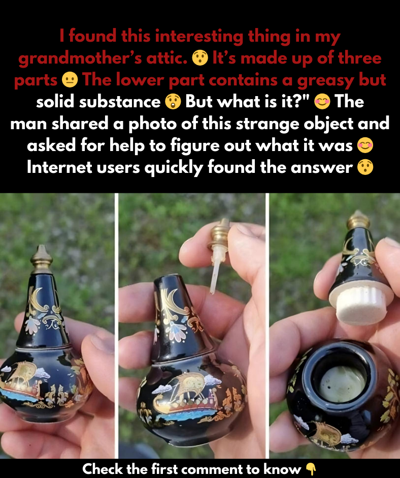 In his grandmother’s attic, a man stumbled upon an interesting object: This is what it turned out to be In his grandmother’s attic, a man stumbled upon an interesting object: This is what it turned out to be