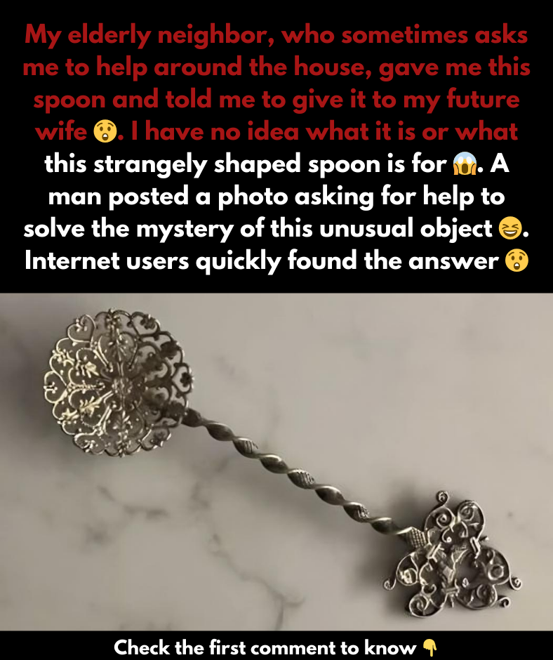 My neighbor gifted me this remarkable spoon and asked me to pass it on to my future wife, but what exactly is it? My neighbor gifted me this remarkable spoon and asked me to pass it on to my future wife, but what exactly is it?