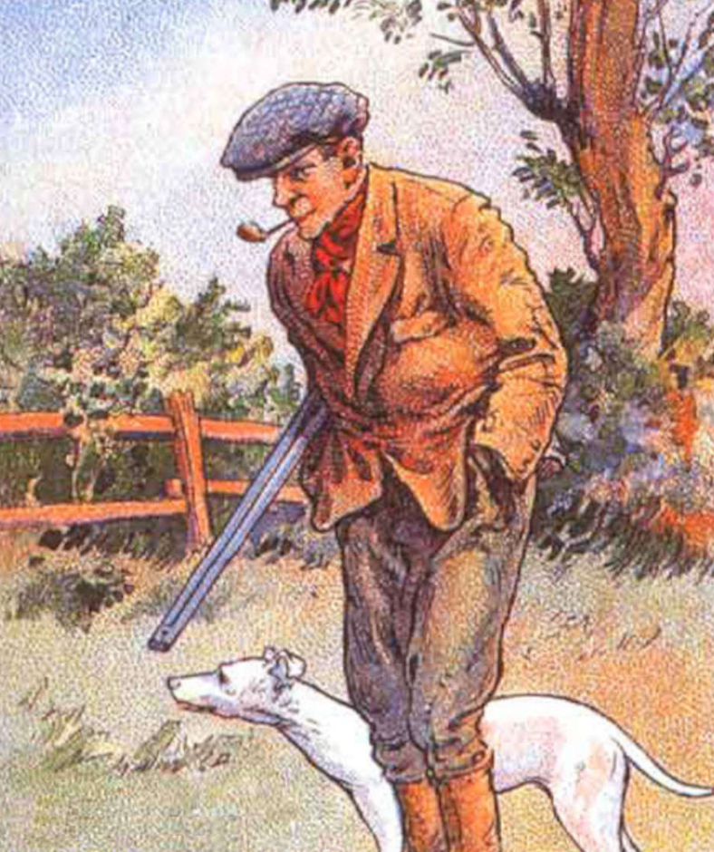 Can You Find The Rabbit? Can You Find The Rabbit?