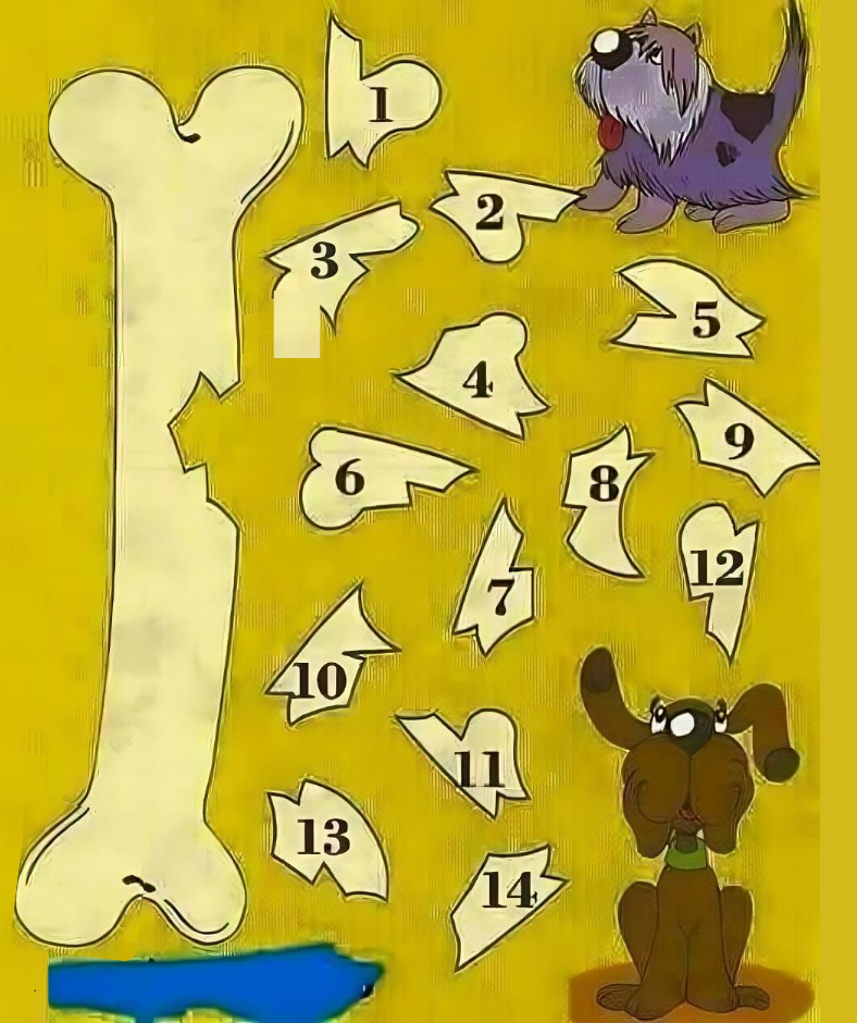 Which bone fragment is compatible with the larger bone? Which bone fragment is compatible with the larger bone?