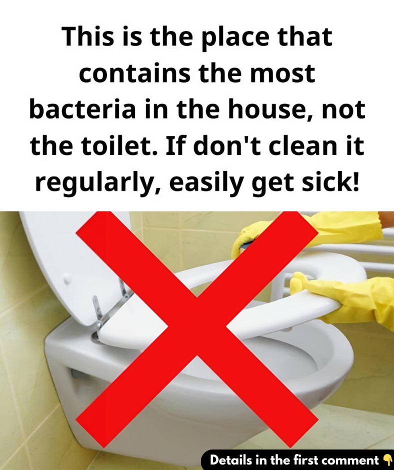 Not the toilet, this is the place with the most bacteria in the house, experts advise regular cleaning to avoid ‘inviting’ more diseases into the body Not the toilet, this is the place with the most bacteria in the house, experts advise regular cleaning to avoid ‘inviting’ more diseases into the body