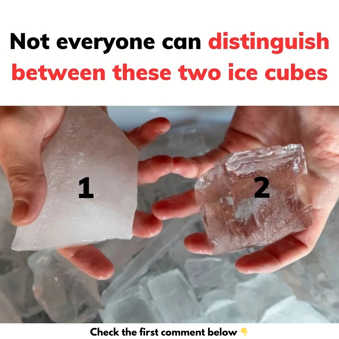 What Makes the Difference? What Makes the Difference?