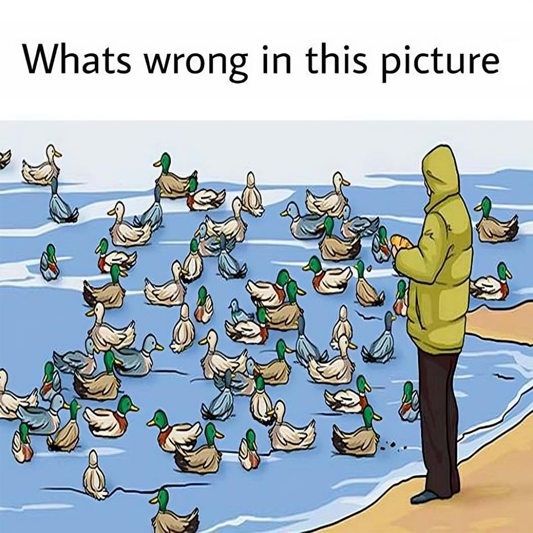 Most individuals fail to notice it, but can you find what’s incorrect in this picture? Most individuals fail to notice it, but can you find what’s incorrect in this picture?