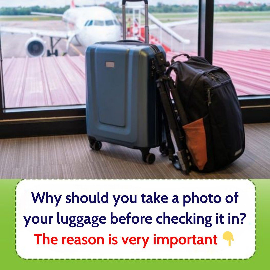 Tips are very necessary for those who often fly Tips are very necessary for those who often fly