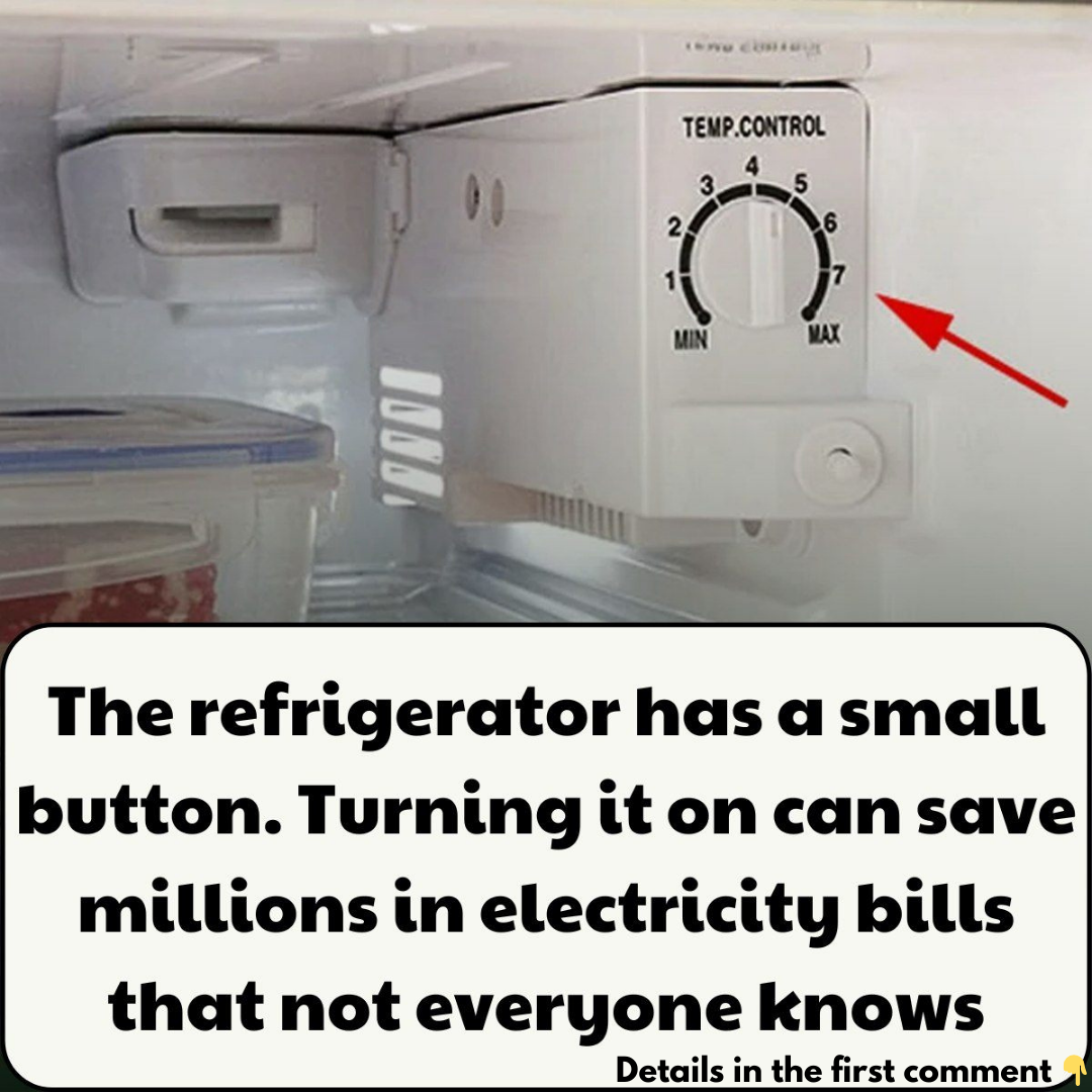 The Refrigerator’s Hidden Button: A Simple Switch to Save Millions on Electricity Bills The Refrigerator’s Hidden Button: A Simple Switch to Save Millions on Electricity Bills