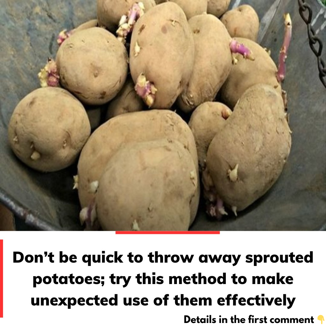 Definitely don’t throw it away Definitely don’t throw it away