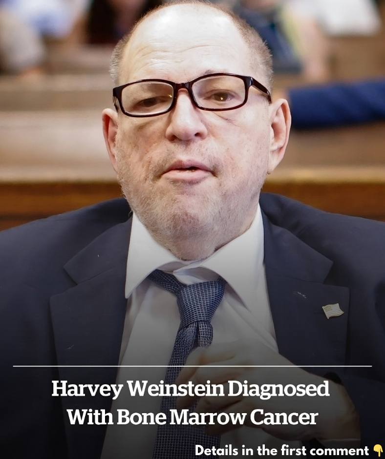 Harvey Weinstein diagnosed with bone marrow cancer Harvey Weinstein diagnosed with bone marrow cancer