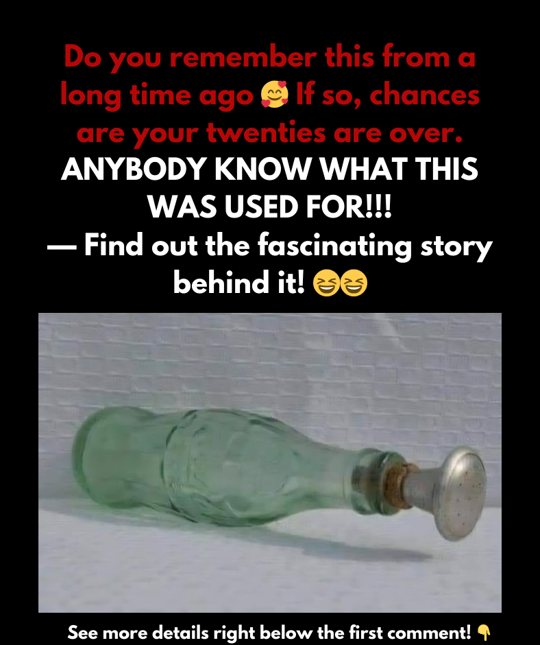 A Clever 1950s Invention That Made Ironing Easier and More Fun A Clever 1950s Invention That Made Ironing Easier and More Fun