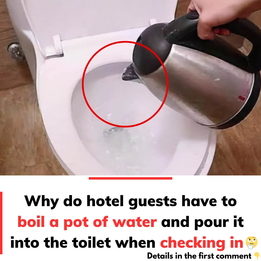 The hotel boils water and pours it into the toilet upon check-in The hotel boils water and pours it into the toilet upon check-in
