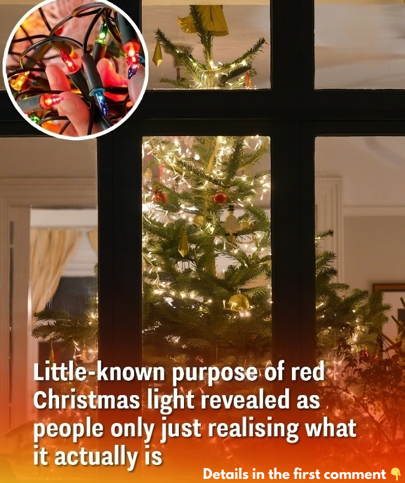 Little-known purpose of red Christmas light revealed as people only just realising what it actually is