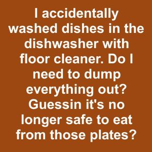 I accidentally washed dishes in the dishwasher with floor cleaner. Do I need to dump everything out I accidentally washed dishes in the dishwasher with floor cleaner. Do I need to dump everything out