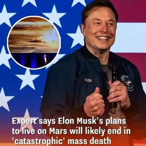 Elon Musk claps back at Neil deGrasse Tyson after he mocks his Mars colonisation plan Elon Musk claps back at Neil deGrasse Tyson after he mocks his Mars colonisation plan