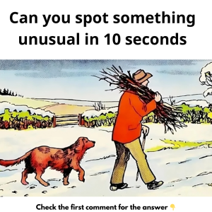 Can you spot something unusual in 10 seconds Can you spot something unusual in 10 seconds