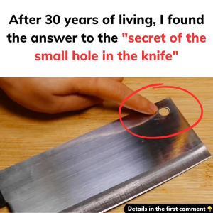 Secret of the small hole in the knife Secret of the small hole in the knife