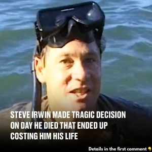 Steve Irwin Made Tragic Decision On Day He Died That Ended Upcosting Him His Life