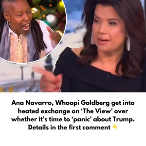 Ana Navarro, Whoopi Goldberg get into heated exchange on ‘The View’ over whether it’s time to ‘panic’ about Trump