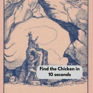 Find the Chicken in 10 seconds