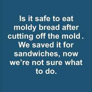 Is it safe to eat moldy bread after cutting off the mold. We saved it for sandwiches, now we’re not sure what to do.