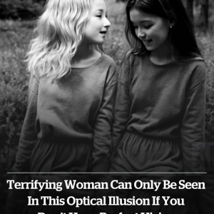 Terrifying woman can only be seen in this optical illusion if you don’t have perfect vision