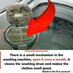 Should be opened once a month