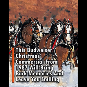 This Budweiser Christmas Commercial From 1987 Will Bring Back Memories And Leave You Smiling