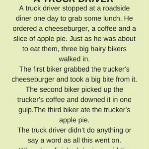 When Bikers Steal His Lunch, This Trucker Gives Them a “Wheel-y” Big Surprise!