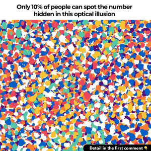 Can you spot the number hidden in this optical illusion