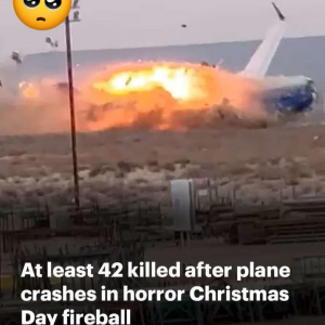 Tragic Azerbaijan Airlines Plane Crash Leaves Dozens Dead: What Happened