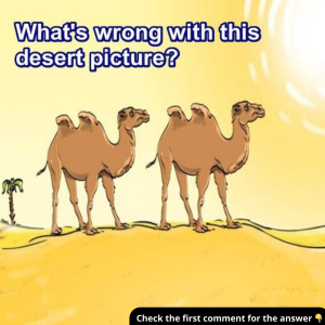What’s Missing from This Desert Landscape? Spot the Mistake and Comment Your Answer! What’s Missing from This Desert Landscape? Spot the Mistake and Comment Your Answer!