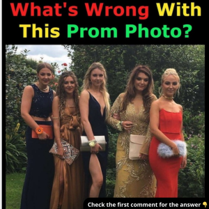 Something’s Not Quite Right in This Photo – Can You Spot It? The Funny Answer Will Leave You Laughing! Something’s Not Quite Right in This Photo – Can You Spot It? The Funny Answer Will Leave You Laughing!