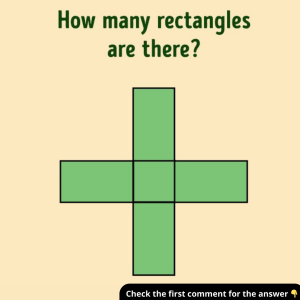Can You Solve This Puzzle in Seconds? Count the Rectangles and Explain Your Answer! Can You Solve This Puzzle in Seconds? Count the Rectangles and Explain Your Answer!