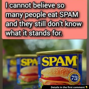 SPAM: What does it stand for, and what are its ingredients?