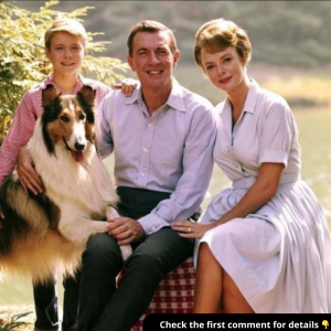 6 Things You Didn’t Know About ‘Lassie’