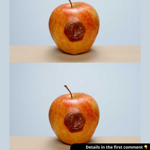 My mother-in-law will eat an apple when it’s bruised like this. I don’t think it’s safe, but she disagrees. How do I tell if something is too bruised to eat and unsafe?