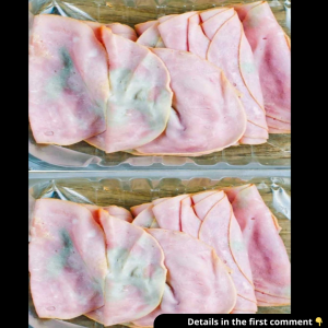 Pulled out some deli meat from fridge. My mother-in-law says it’s wasteful not to use it, but it looks bad to me. What should I do?