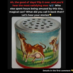 Do You Remember This Toy? If You’re Old Enough, You’ll Recognize It, So Let’s Explore the Fun History Behind It!