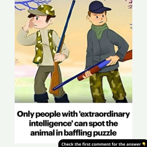 Can You Spot the Hidden deer.  Most People Overlook It—What About You? Can You Spot the Hidden deer.  Most People Overlook It—What About You?