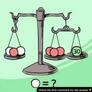 What’s the Correct Value Here? Only Sharp Minds Can Solve This Weight Puzzle – Give It a Try! What’s the Correct Value Here? Only Sharp Minds Can Solve This Weight Puzzle – Give It a Try!