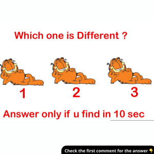 Which One Doesn’t Belong? Test Your Eye for Detail and Explain Your Answer Below! Which One Doesn’t Belong? Test Your Eye for Detail and Explain Your Answer Below!