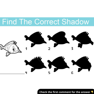 How Well Do You Observe? Find the Correct Shadow Among These Options! How Well Do You Observe? Find the Correct Shadow Among These Options!
