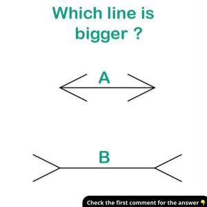 Which Line is Longer? The Answer Lies in the Visual Trick – Find Out! Which Line is Longer? The Answer Lies in the Visual Trick – Find Out!