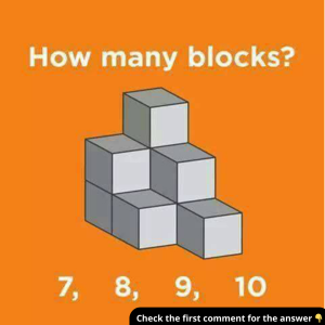 How Many Blocks Can You Count? Reveal the Answer and Explain How You Got It Right