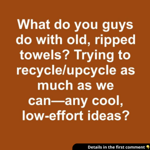 These ideas are great