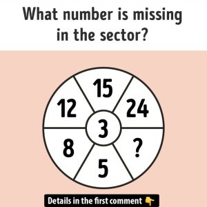 What’s the Missing Number? Solve the Puzzle and Understand the Logic Behind It! What’s the Missing Number? Solve the Puzzle and Understand the Logic Behind It!