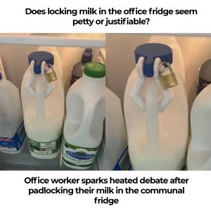 Office worker padlocks their milk in the communal fridge and the internet is divided