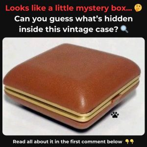 Do You Recall This Beloved Classic? If You Do, Embrace Nostalgia – Uncover the Intriguing Tale Behind Its Enduring Legacy