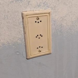 My house (built in the mid ’70s) has one of these in almost every room. What is it ?