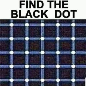 Can You Spot the Hidden Black Dot? Your Brain Might Be Fooling You